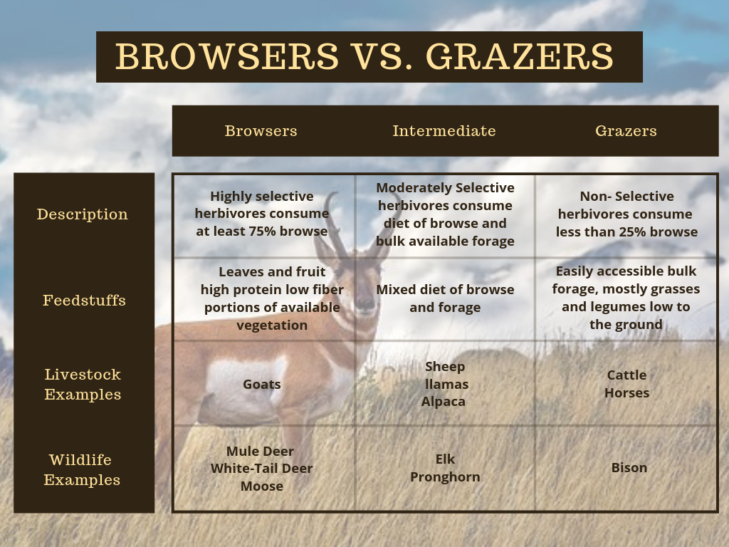 Rangeland Grazing and Livestock Diversity Ward Laboratories, Inc.