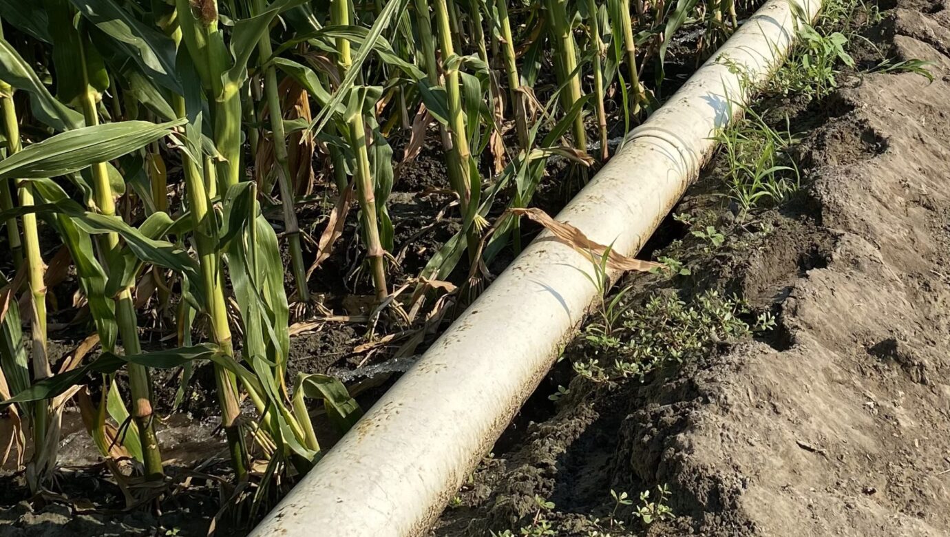 Gravity Irrigation