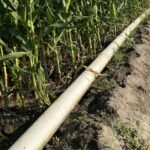 Gravity Irrigation
